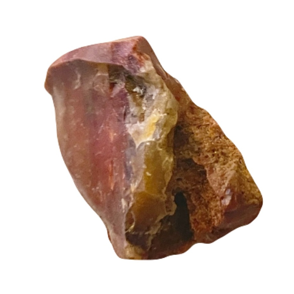 New Petrified Wood Brown Tan Natural Free Form Specimen Chunk 26.2g 131.0CT